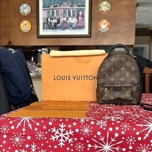 Louis Vuitton Palm Springs Mini Backpack